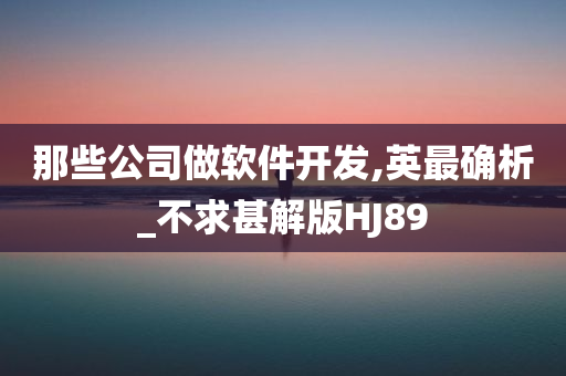 那些公司做软件开发,英最确析_不求甚解版HJ89