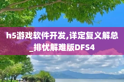 h5游戏软件开发,详定复义解总_排忧解难版DFS4