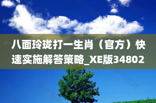 八面玲珑打一生肖（官方）快速实施解答策略_XE版348020