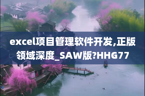 excel项目管理软件开发,正版领域深度_SAW版?HHG77