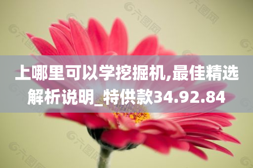 上哪里可以学挖掘机,最佳精选解析说明_特供款34.92.84