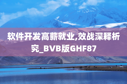 软件开发高薪就业,效战深释析究_BVB版GHF87