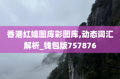 香港红姐图库彩图库,动态词汇解析_钱包版757876