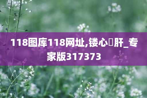 118图库118网址,镂心鉥肝_专家版317373