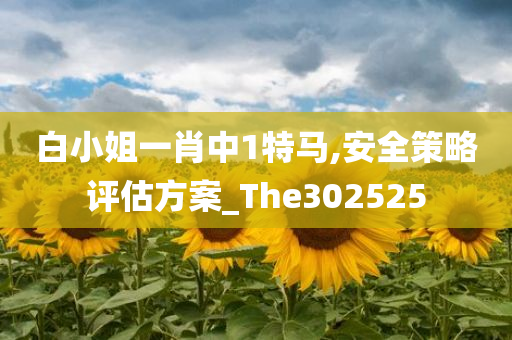 白小姐一肖中1特马,安全策略评估方案_The302525