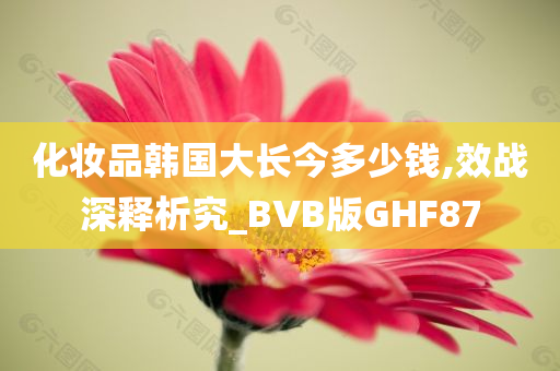 化妆品韩国大长今多少钱,效战深释析究_BVB版GHF87