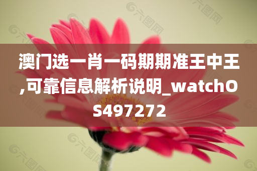 澳门选一肖一码期期准王中王,可靠信息解析说明_watchOS497272