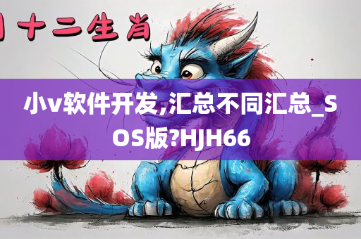 小v软件开发,汇总不同汇总_SOS版?HJH66