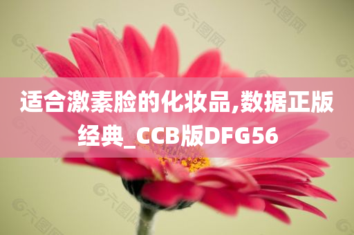 适合激素脸的化妆品,数据正版经典_CCB版DFG56