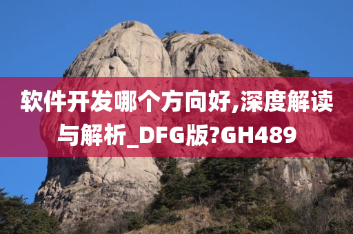 软件开发哪个方向好,深度解读与解析_DFG版?GH489