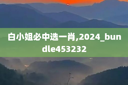 白小姐必中选一肖,2024_bundle453232