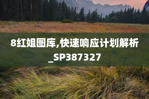 8红姐图库,快速响应计划解析_SP387327