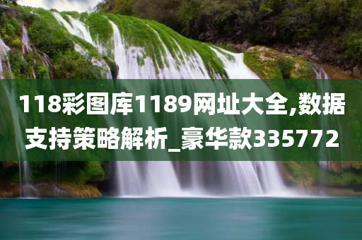 118彩图库1189网址大全,数据支持策略解析_豪华款335772