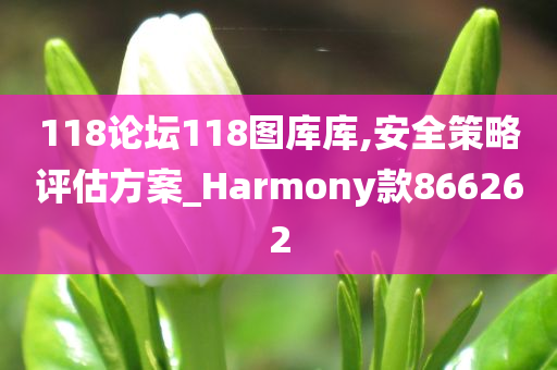 118论坛118图库库,安全策略评估方案_Harmony款866262