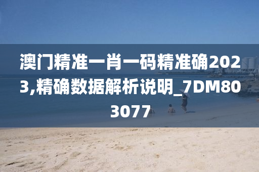 澳门精准一肖一码精准确2023,精确数据解析说明_7DM803077