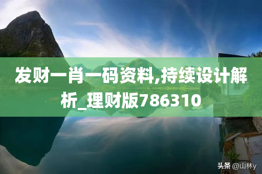 发财一肖一码资料,持续设计解析_理财版786310