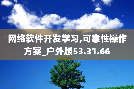 网络软件开发学习,可靠性操作方案_户外版53.31.66