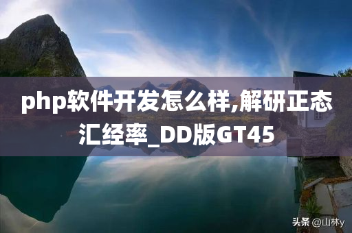 php软件开发怎么样,解研正态汇经率_DD版GT45