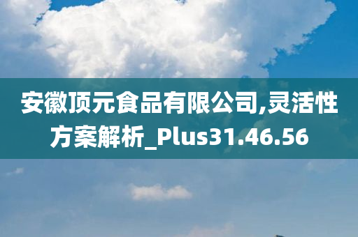 安徽顶元食品有限公司,灵活性方案解析_Plus31.46.56