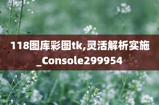 118图库彩图tk,灵活解析实施_Console299954