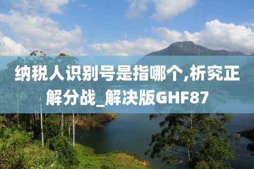 纳税人识别号是指哪个,析究正解分战_解决版GHF87