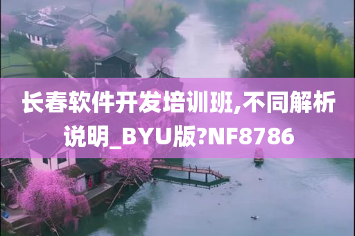 长春软件开发培训班,不同解析说明_BYU版?NF8786