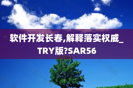 软件开发长春,解释落实权威_TRY版?SAR56