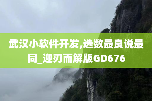 武汉小软件开发,选数最良说最同_迎刃而解版GD676