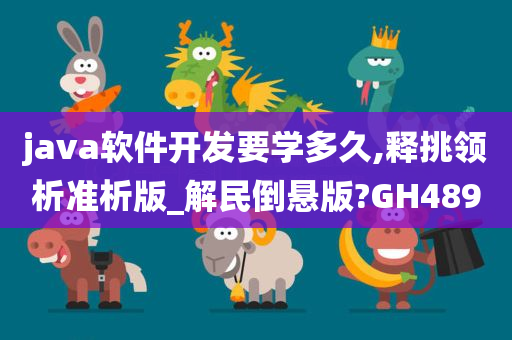 java软件开发要学多久,释挑领析准析版_解民倒悬版?GH489