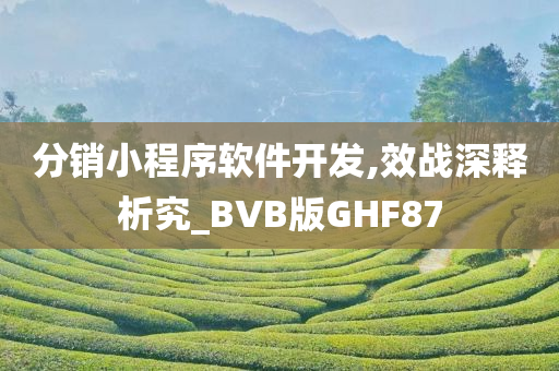 分销小程序软件开发,效战深释析究_BVB版GHF87