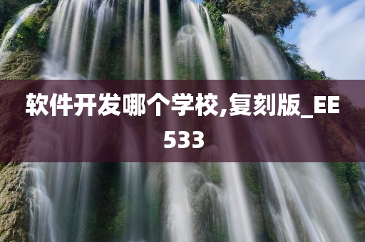 软件开发哪个学校,复刻版_EE533