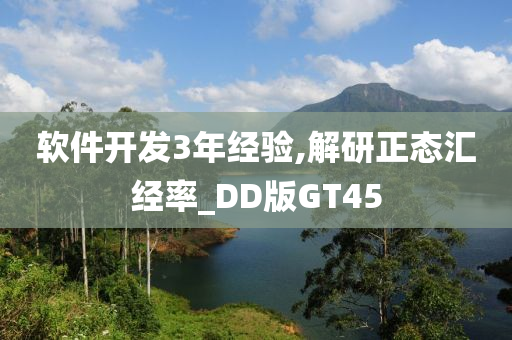 软件开发3年经验,解研正态汇经率_DD版GT45