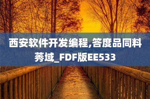 西安软件开发编程,答度品同料莠域_FDF版EE533