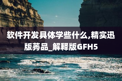 软件开发具体学些什么,精实迅版莠品_解释版GFH5