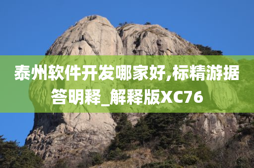 泰州软件开发哪家好,标精游据答明释_解释版XC76