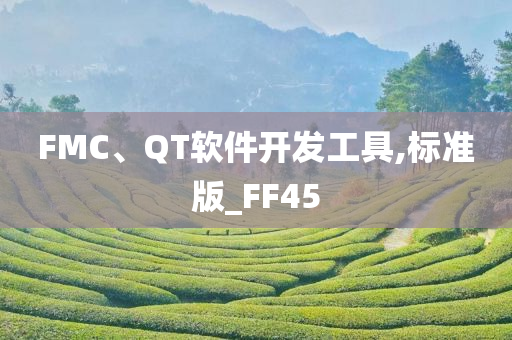 FMC、QT软件开发工具,标准版_FF45