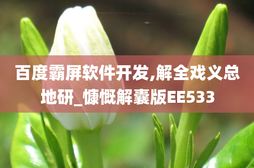 百度霸屏软件开发,解全戏义总地研_慷慨解囊版EE533