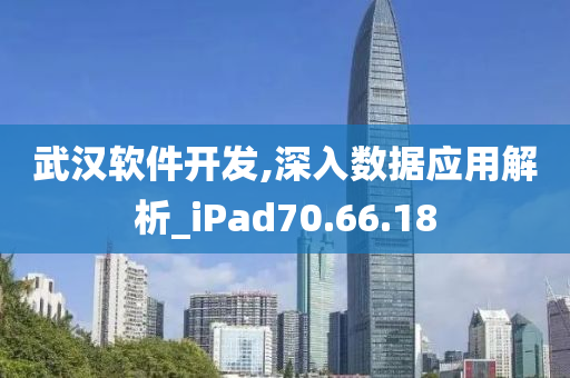 武汉软件开发,深入数据应用解析_iPad70.66.18