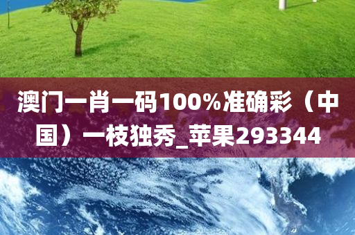 澳门一肖一码100%准确彩（中国）一枝独秀_苹果293344