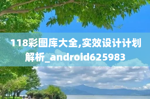 118彩图库大全,实效设计计划解析_android625983