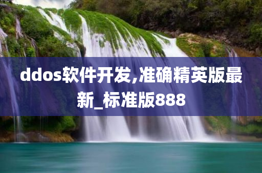 ddos软件开发,准确精英版最新_标准版888