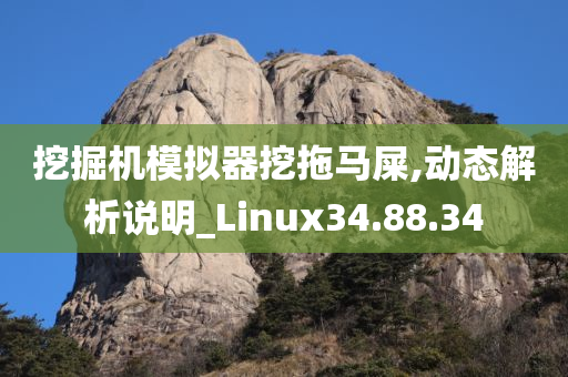 挖掘机模拟器挖拖马屎,动态解析说明_Linux34.88.34