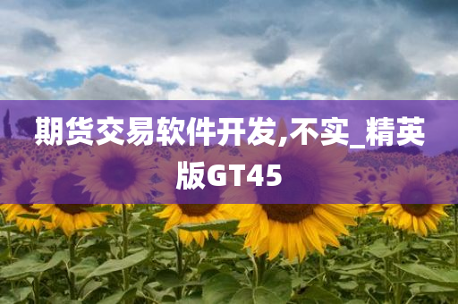 期货交易软件开发,不实_精英版GT45