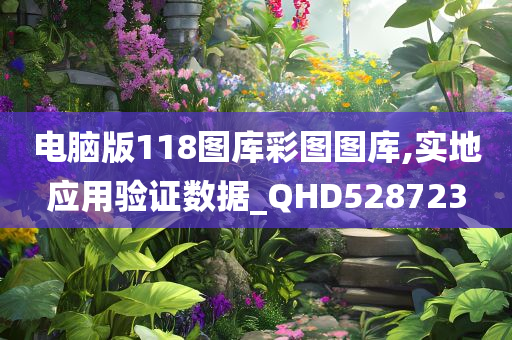 电脑版118图库彩图图库,实地应用验证数据_QHD528723