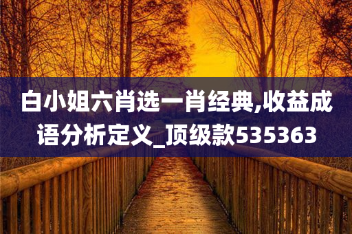 白小姐六肖选一肖经典,收益成语分析定义_顶级款535363