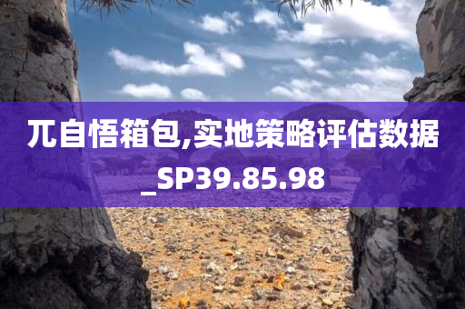 兀自悟箱包,实地策略评估数据_SP39.85.98