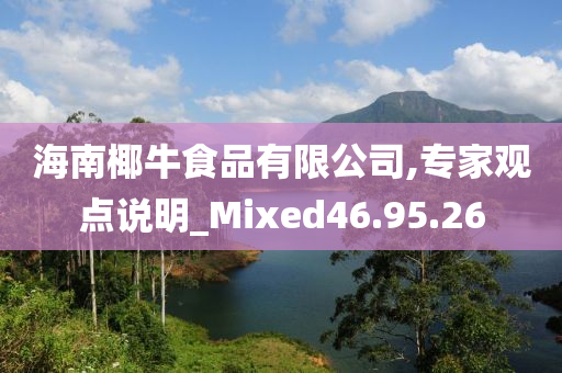 海南椰牛食品有限公司,专家观点说明_Mixed46.95.26