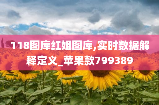 118图库红姐图库,实时数据解释定义_苹果款799389