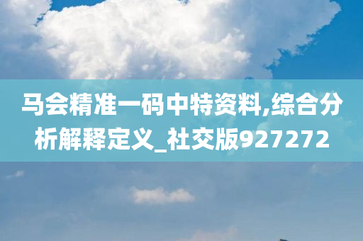 马会精准一码中特资料,综合分析解释定义_社交版927272