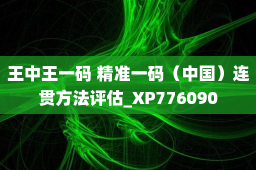 王中王一码 精准一码（中国）连贯方法评估_XP776090